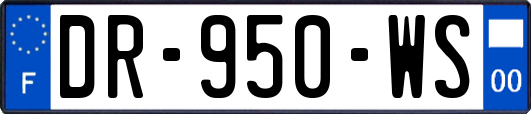 DR-950-WS