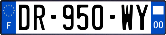 DR-950-WY