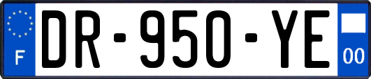 DR-950-YE