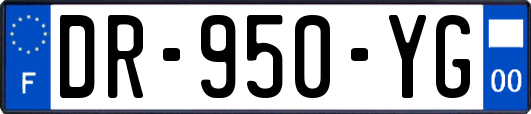 DR-950-YG