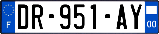 DR-951-AY
