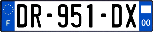 DR-951-DX