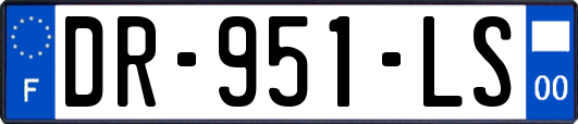 DR-951-LS