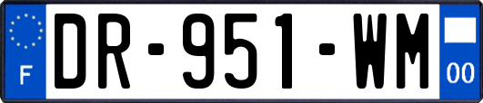 DR-951-WM