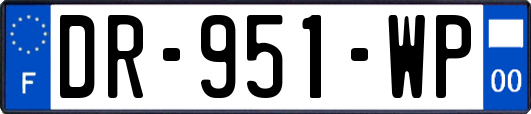 DR-951-WP
