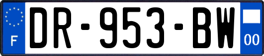 DR-953-BW