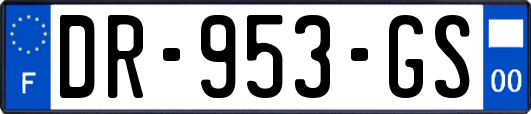 DR-953-GS