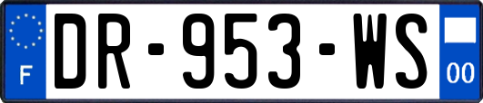 DR-953-WS