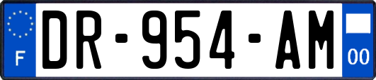 DR-954-AM