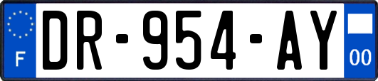 DR-954-AY