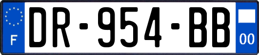 DR-954-BB