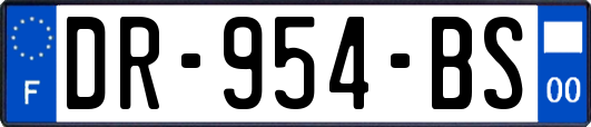 DR-954-BS