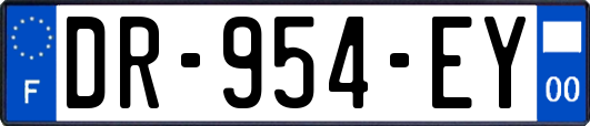 DR-954-EY