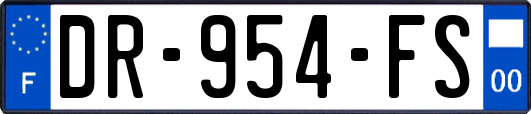 DR-954-FS