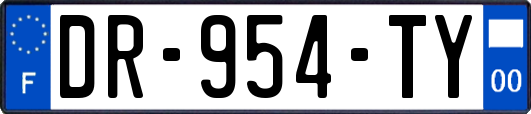 DR-954-TY