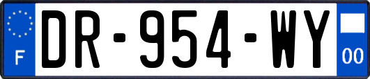 DR-954-WY