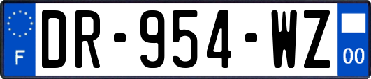 DR-954-WZ
