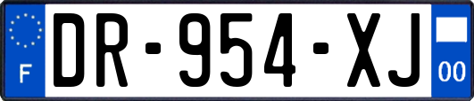 DR-954-XJ