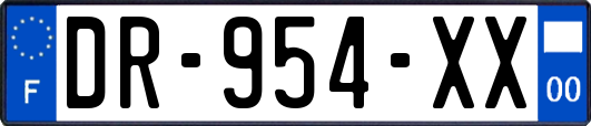 DR-954-XX