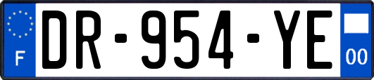 DR-954-YE