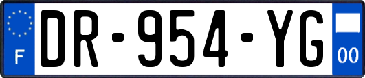 DR-954-YG