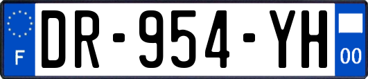 DR-954-YH