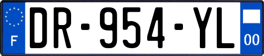 DR-954-YL