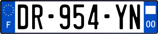DR-954-YN