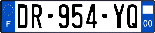 DR-954-YQ