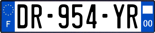 DR-954-YR
