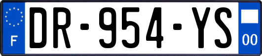 DR-954-YS