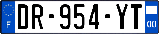 DR-954-YT