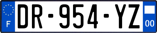 DR-954-YZ