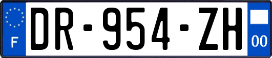 DR-954-ZH