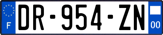 DR-954-ZN