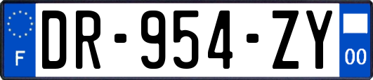 DR-954-ZY