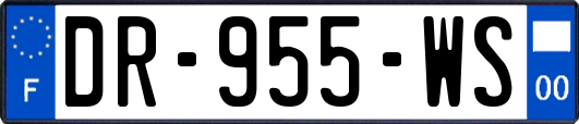 DR-955-WS