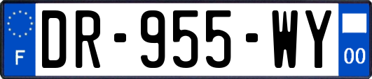 DR-955-WY