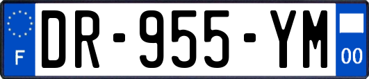 DR-955-YM