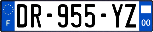 DR-955-YZ