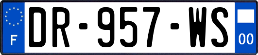 DR-957-WS