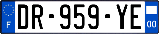 DR-959-YE