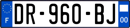 DR-960-BJ