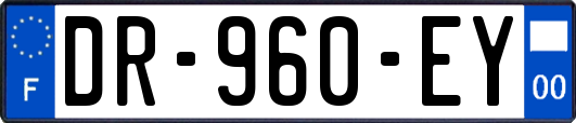 DR-960-EY