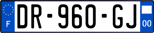 DR-960-GJ