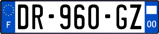 DR-960-GZ