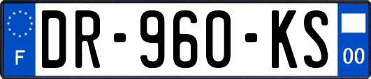 DR-960-KS