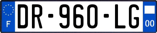 DR-960-LG