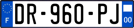 DR-960-PJ