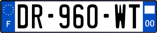 DR-960-WT